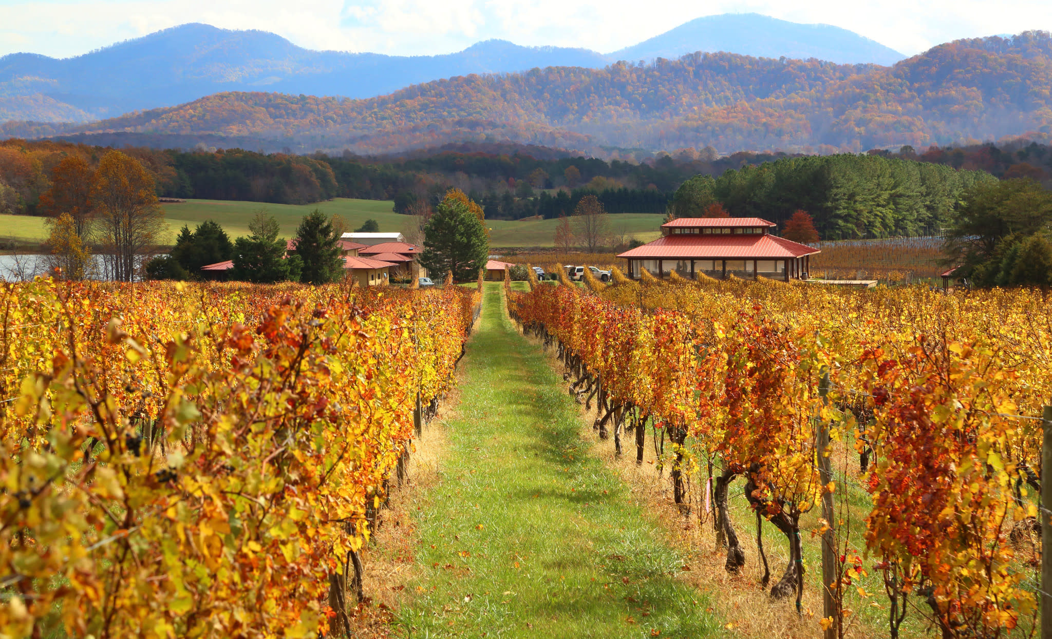 Asheville Nc Wineries Within 50 Miles Of Me Winery Hot Sale Near Me