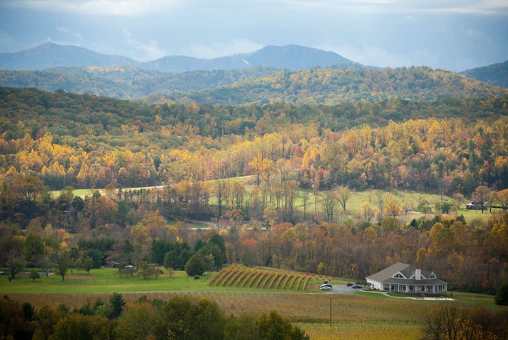 Stunning Wineries Near Shenandoah National Park