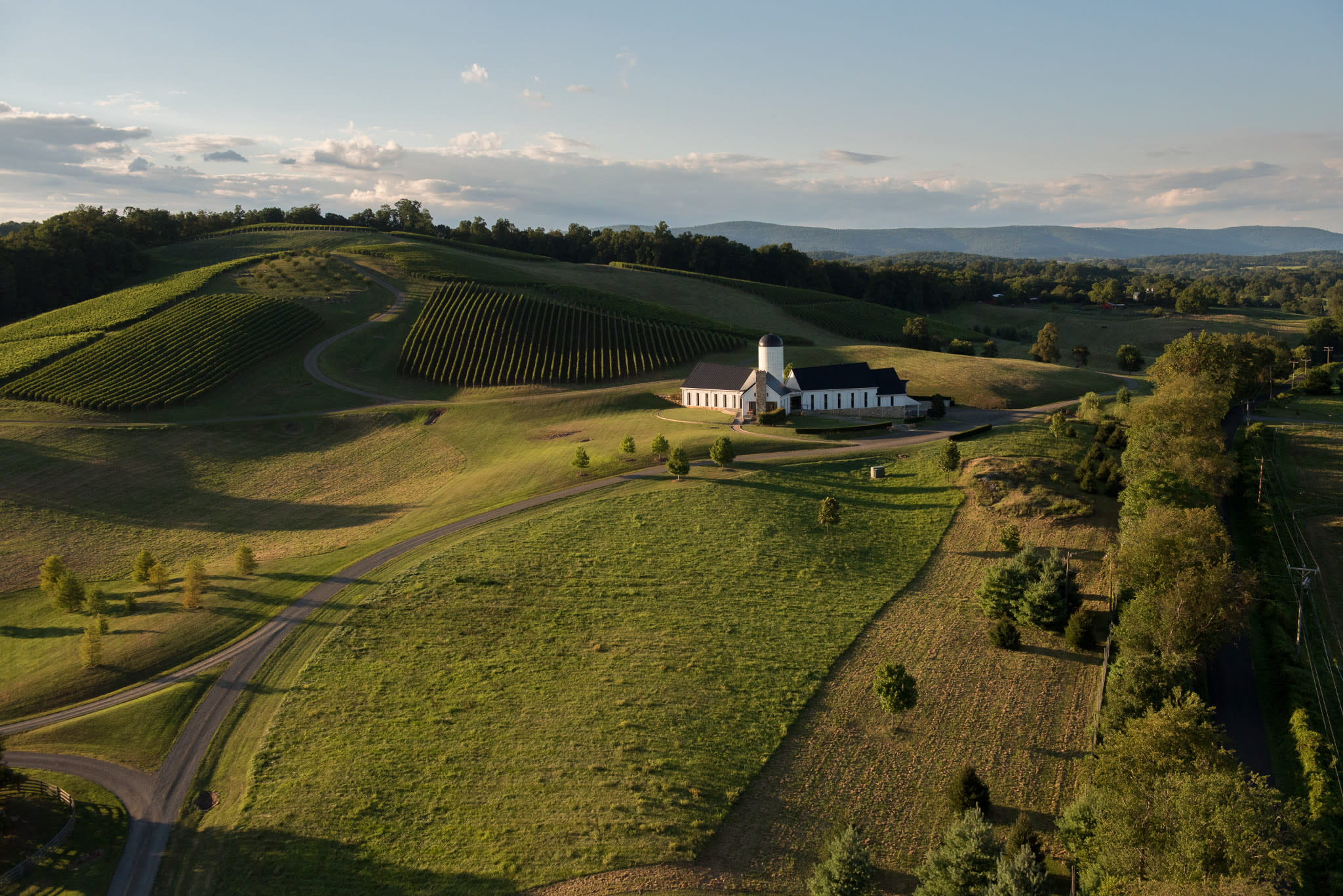 Stunning Wineries Near Shenandoah National Park