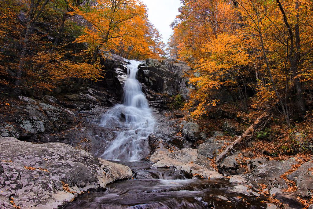 SV20110203V_062.JPG