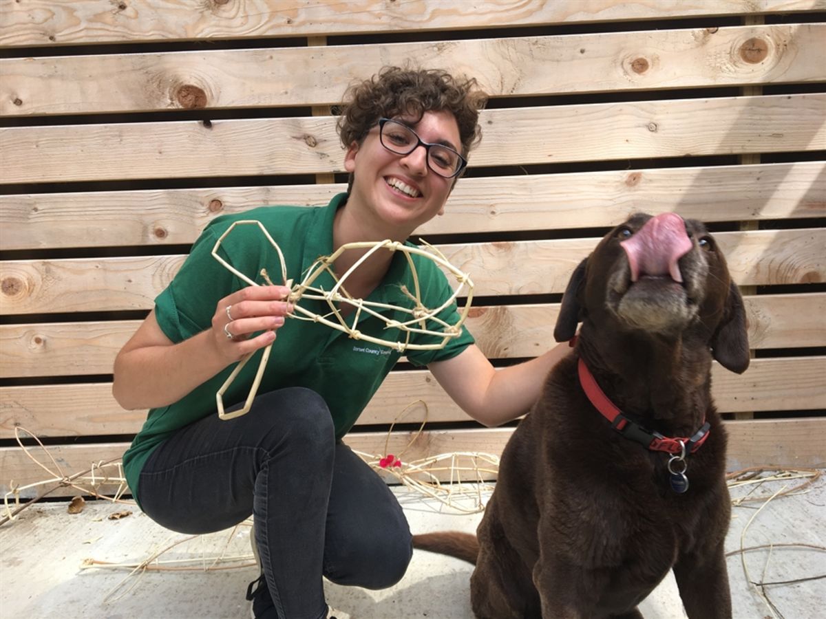 Events at Durlston Country Park: Guided Walkies