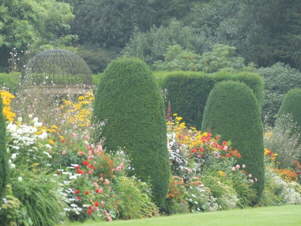 Autumn Plant & Gardening Fair