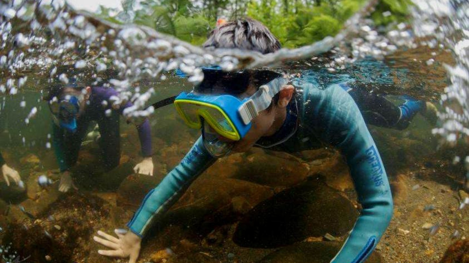 River Snorkel on the New River in Todd Island Park