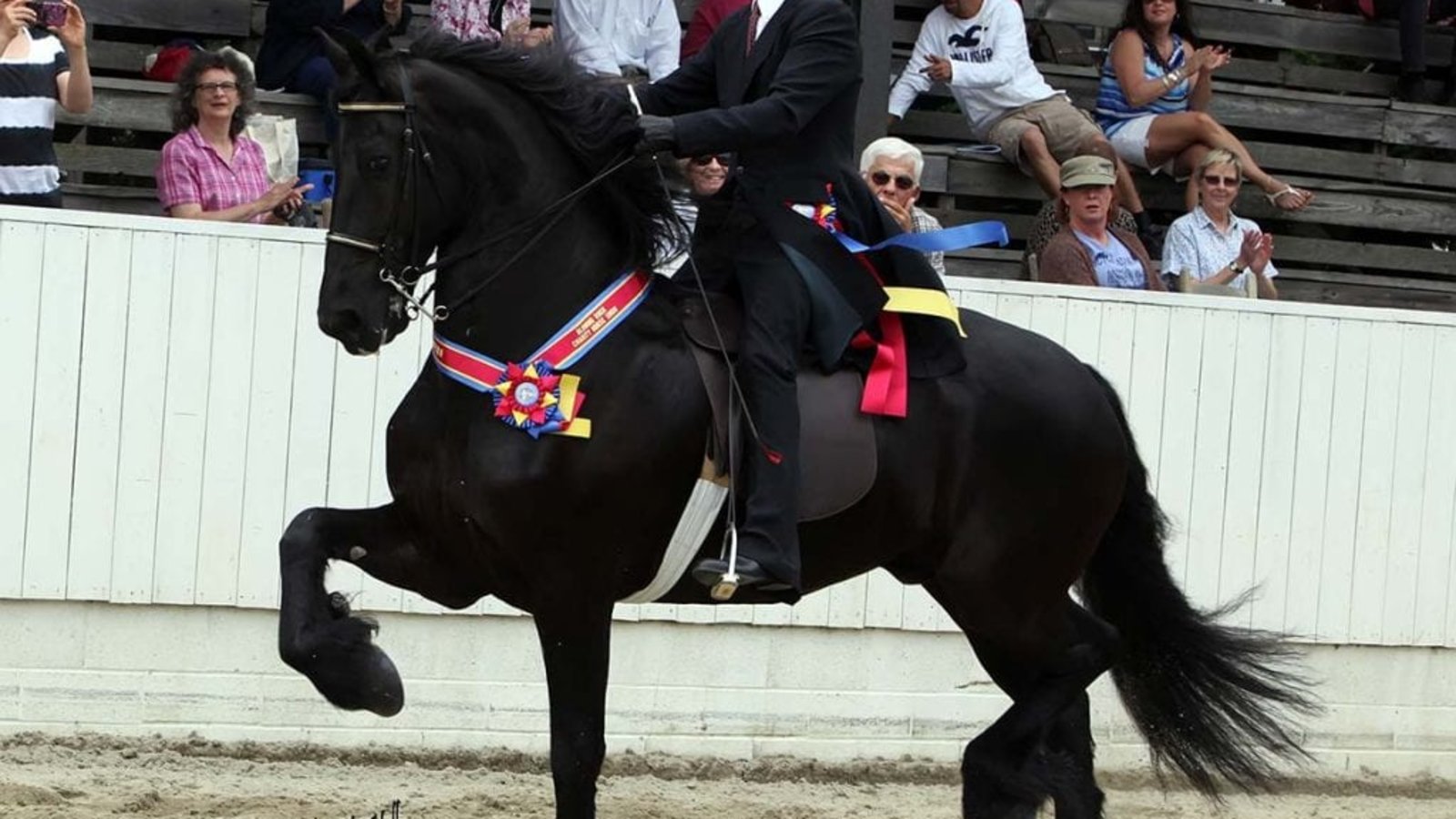 Blowing Rock Charity Horse Show - Saddlebred Division in the High Country