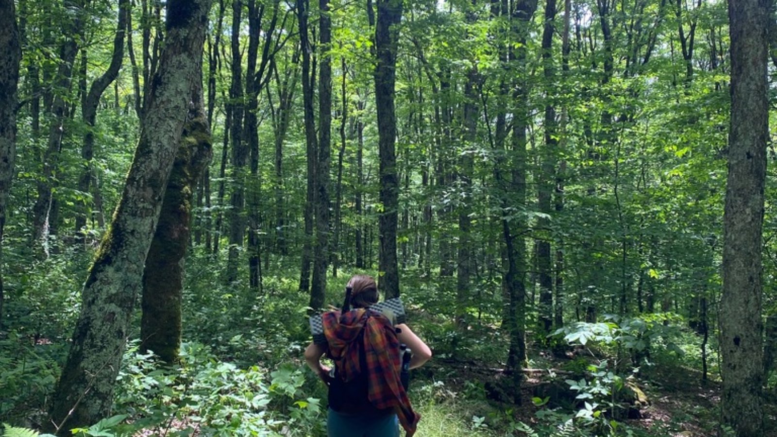 Backpacking 101 in Boone Fillery
