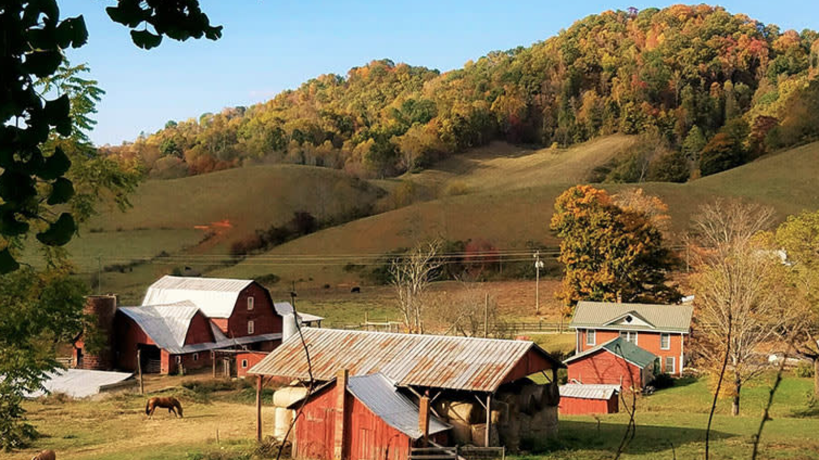 A Joyful Farm-to-Fork Dinner in Shipley Farms