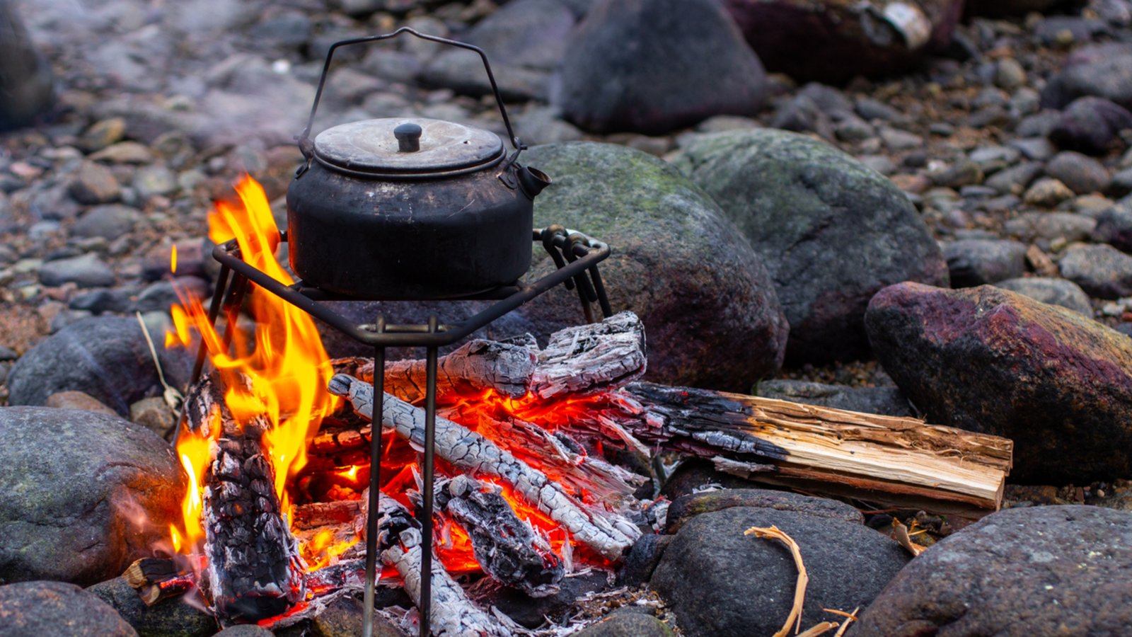 ALL THINGS FIRE POP-UP CLASS in Turtle Island Preserve