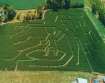 Corn Maze at Bergey's Breadbasket