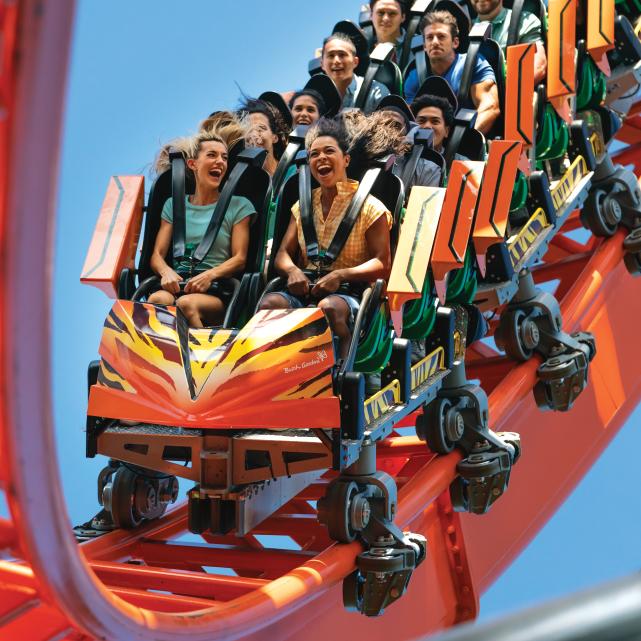 Tampa Deals & Special Offers | Visit Tampa Bay