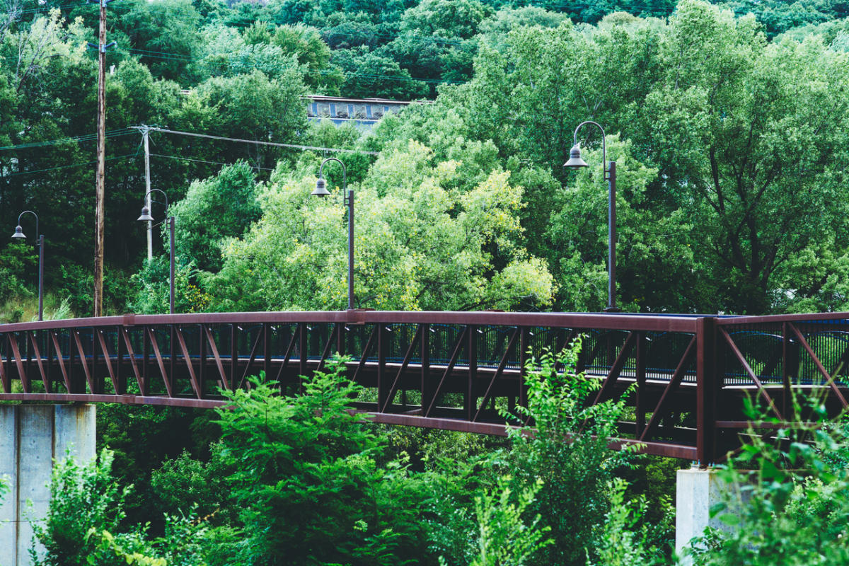 The pedestrian bridge over the Eau Claire River at Boyd Park, framed by trees.