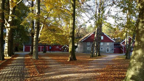 Naturmuseum Og Botanisk Hage Universitetet I Agder
