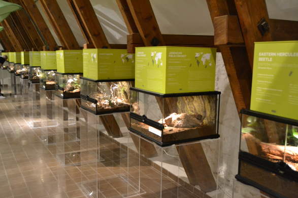 Naturmuseum Og Botanisk Hage Universitetet I Agder