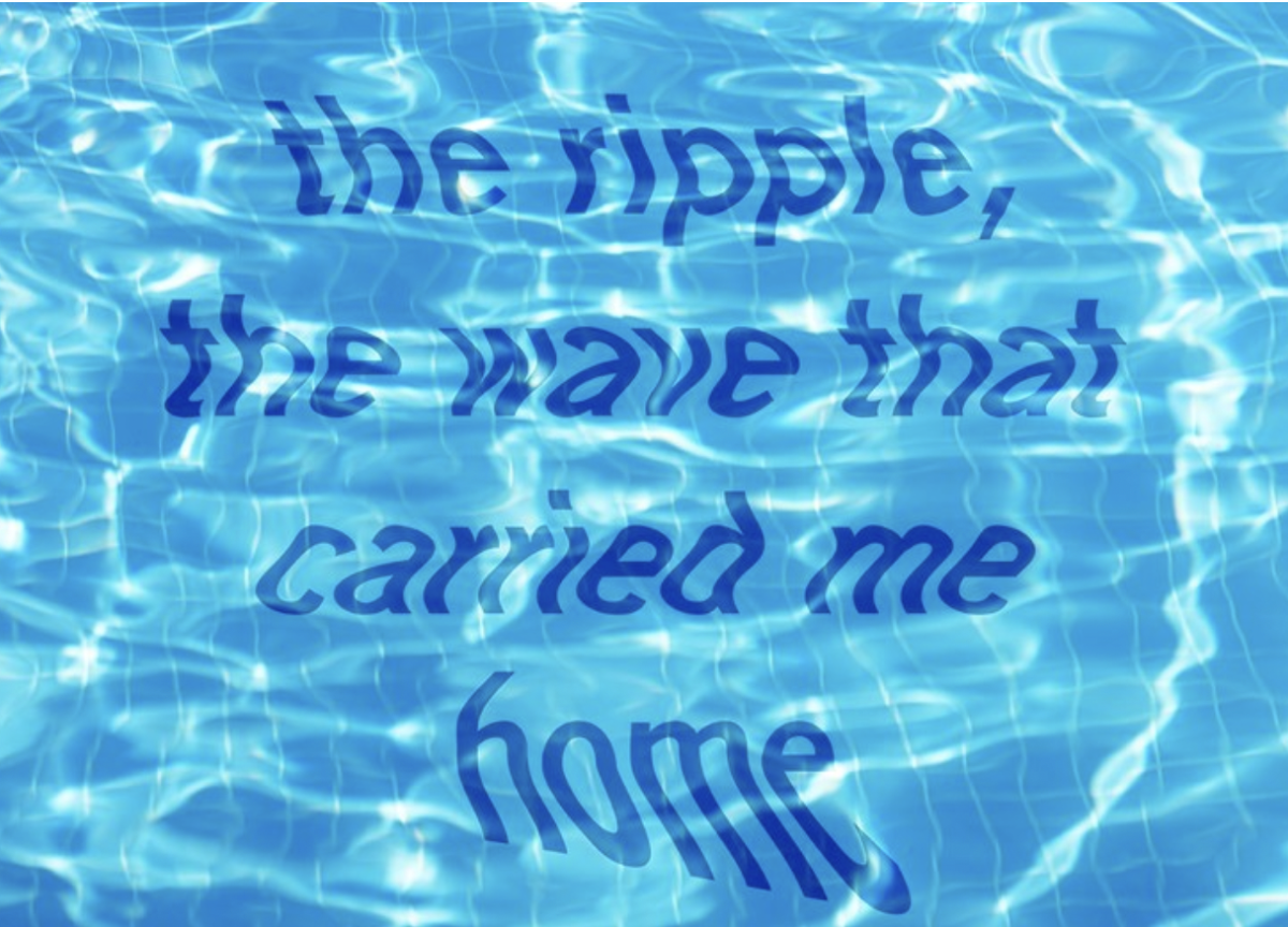 the ripple, the wave that carried me home