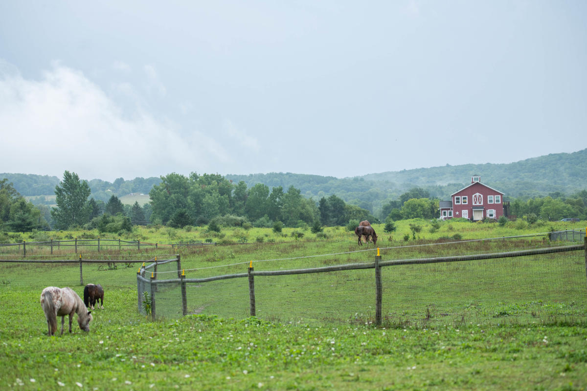 Mountain Horse Farm
