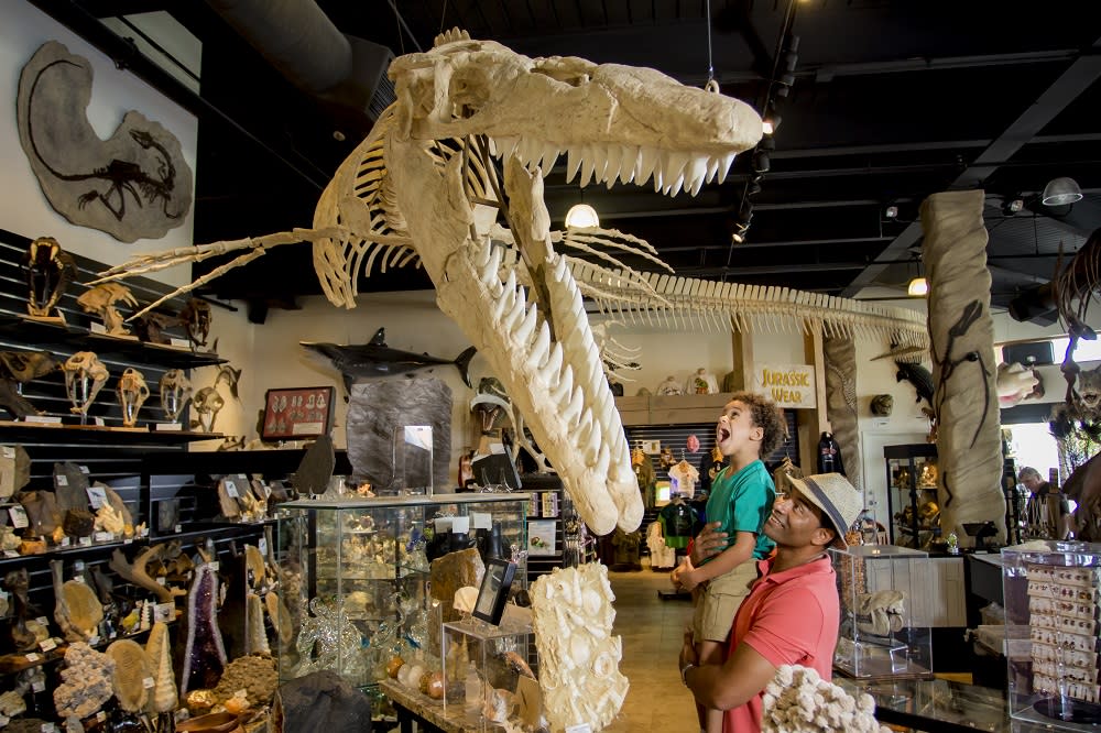 The Dinosaur Store