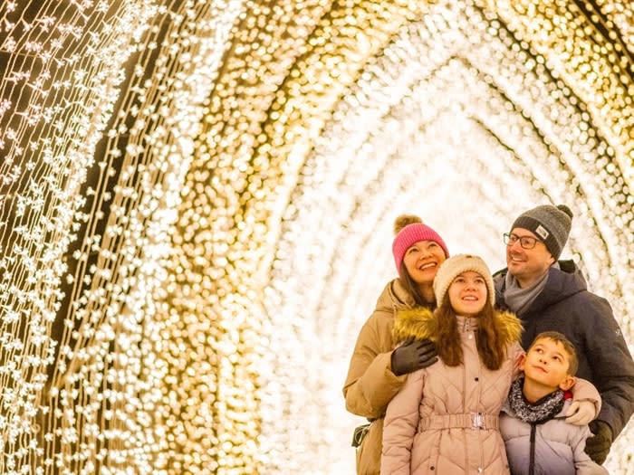 Christmas at Dunham Massey