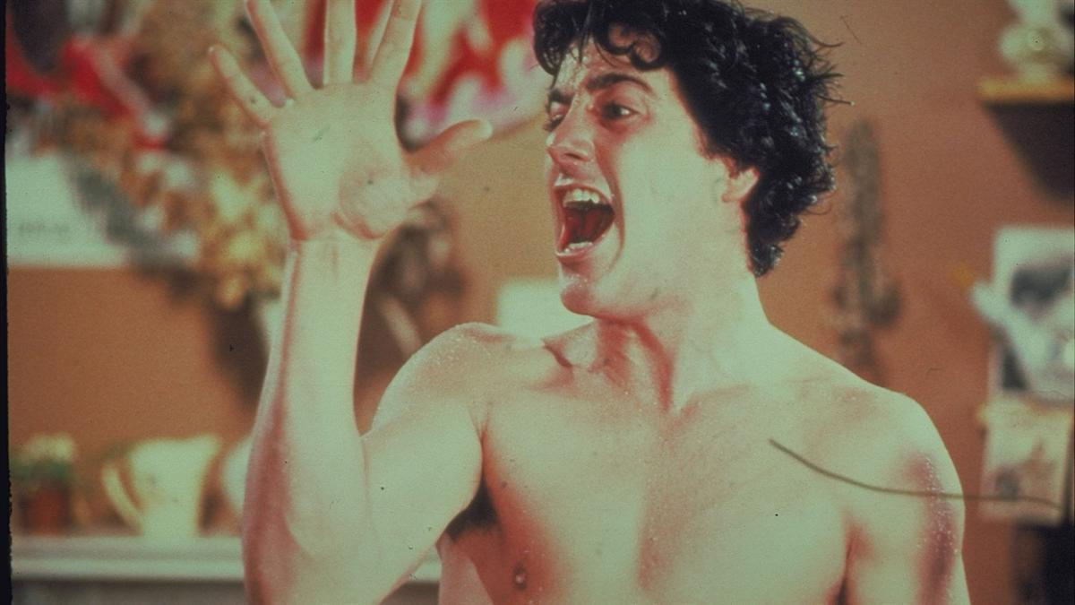 An American Werewolf in London + Shaun of the Dead (15)