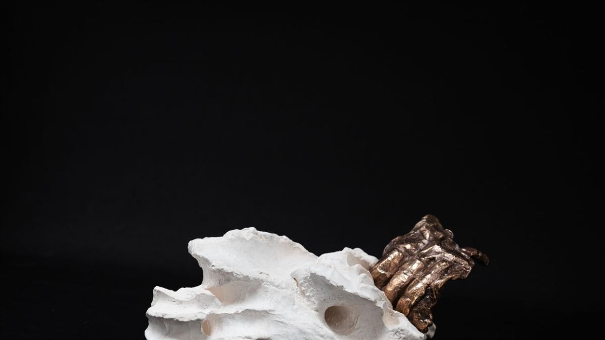 Jo Applin in conversation with Florence Peake