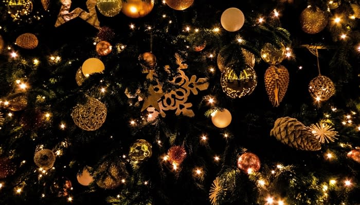 Live At Christmas With Fern Brady