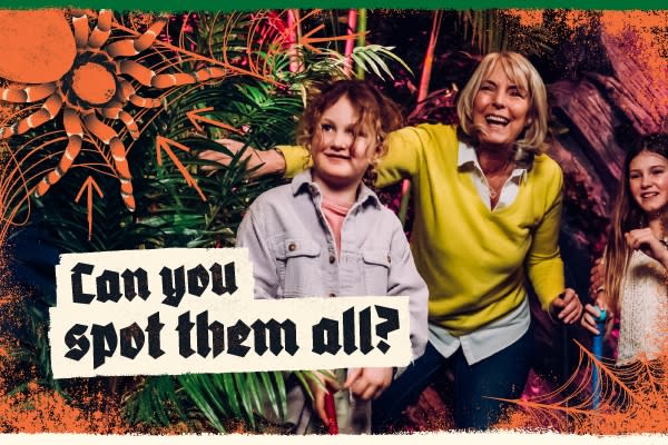 Halloween at Treetop Adventure Golf