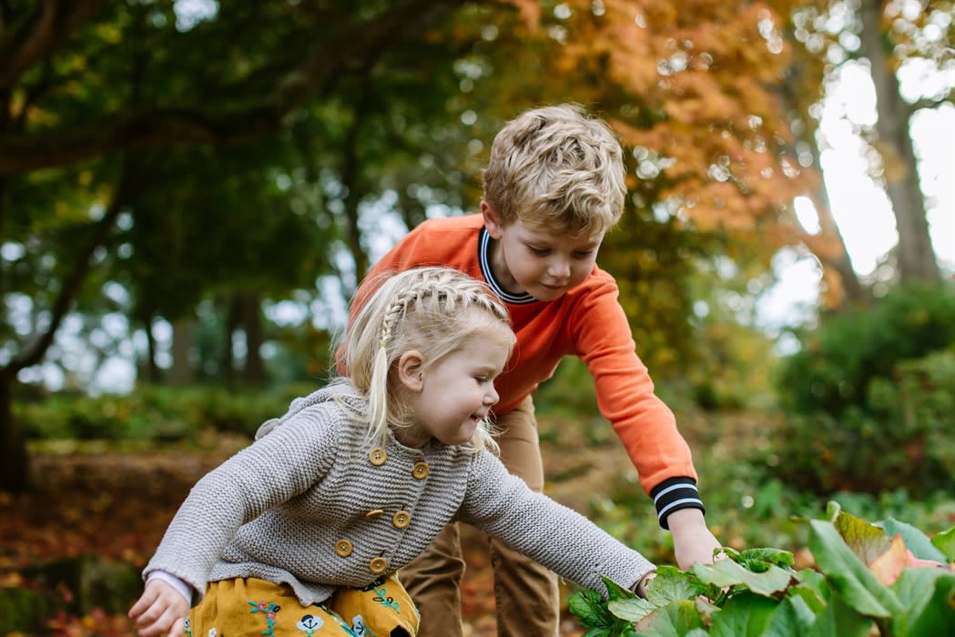 Spooky fun awaits at RHS Garden Bridgewater this October half-term