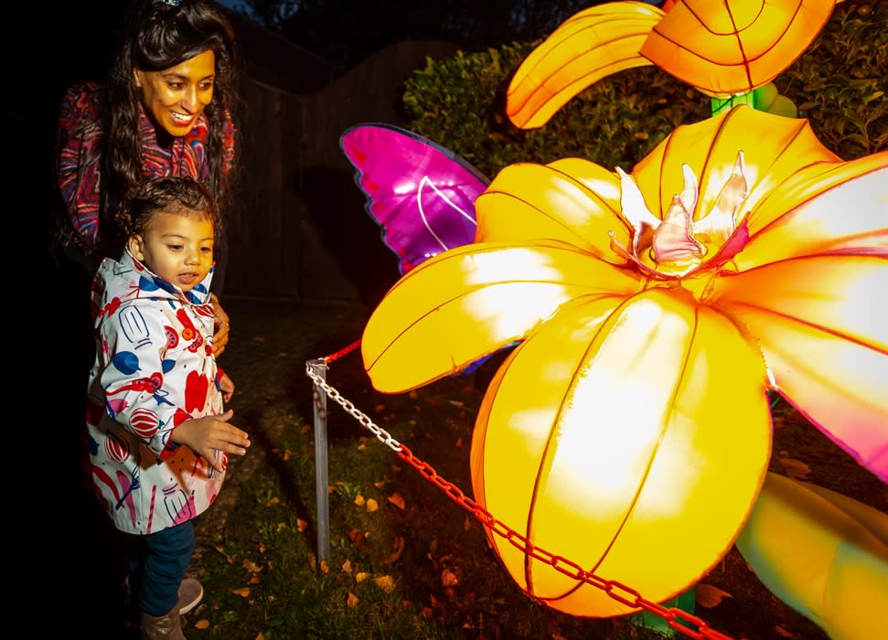 Land of Lights Lantern Festival