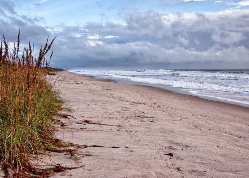 Archie Carr National Wildlife Refuge