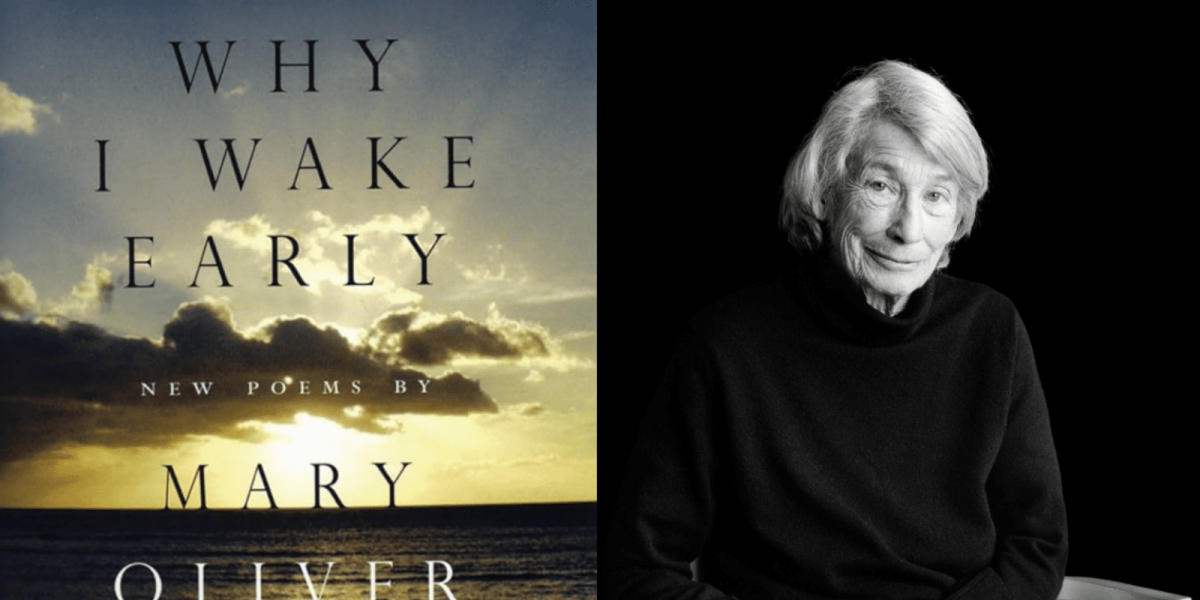 Cover to Cover Naturally A Nature Loverâ€™s Book Club