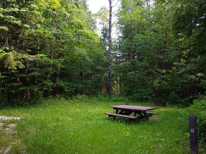 Black River State Forest Campground/Peters Creek Pathway