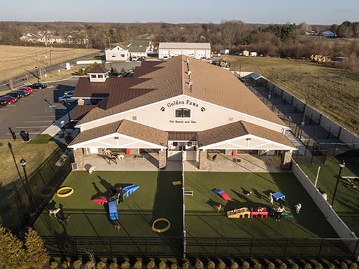 Paw sales pet resort