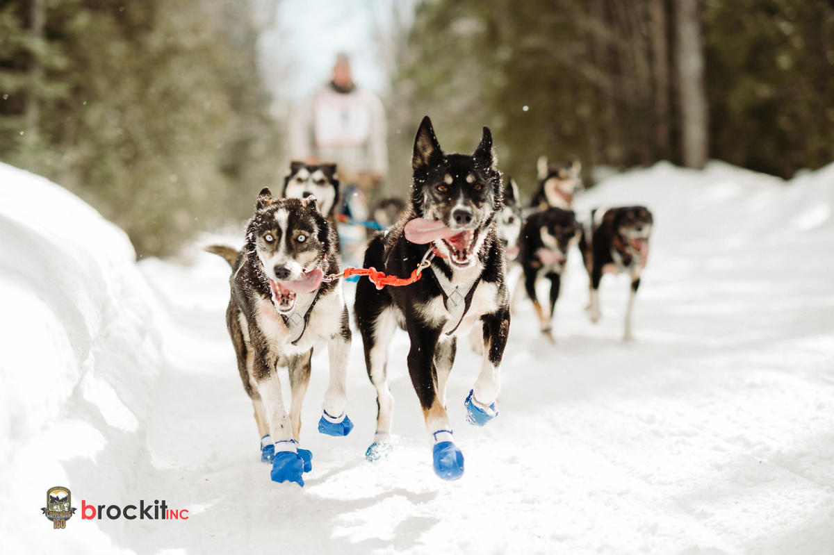 CopperDog | Michigan's Upper Peninsula Travel & Recreation Association