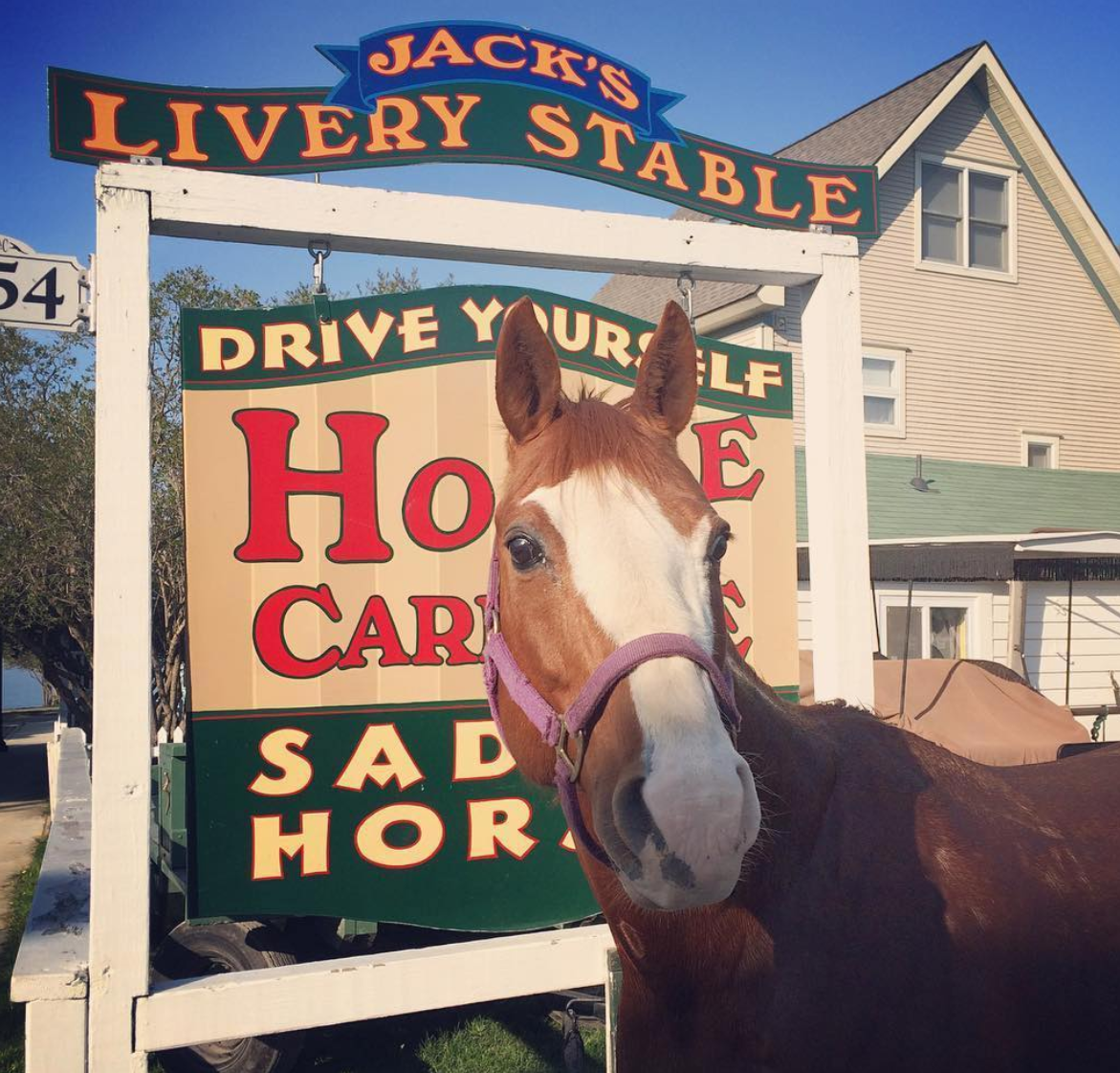 Jack’s Livery & Riding Stable