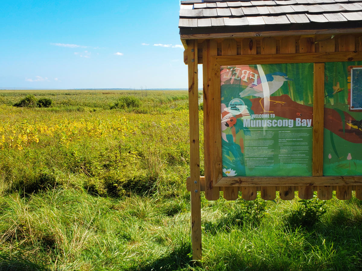 Munuscong State Wildlife Area