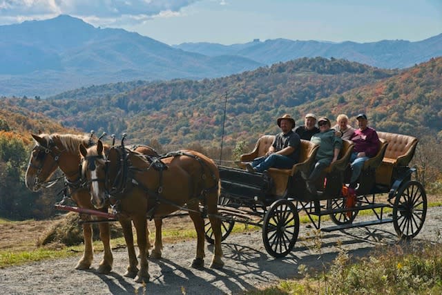 Horse drawn carriage rides near me outlet