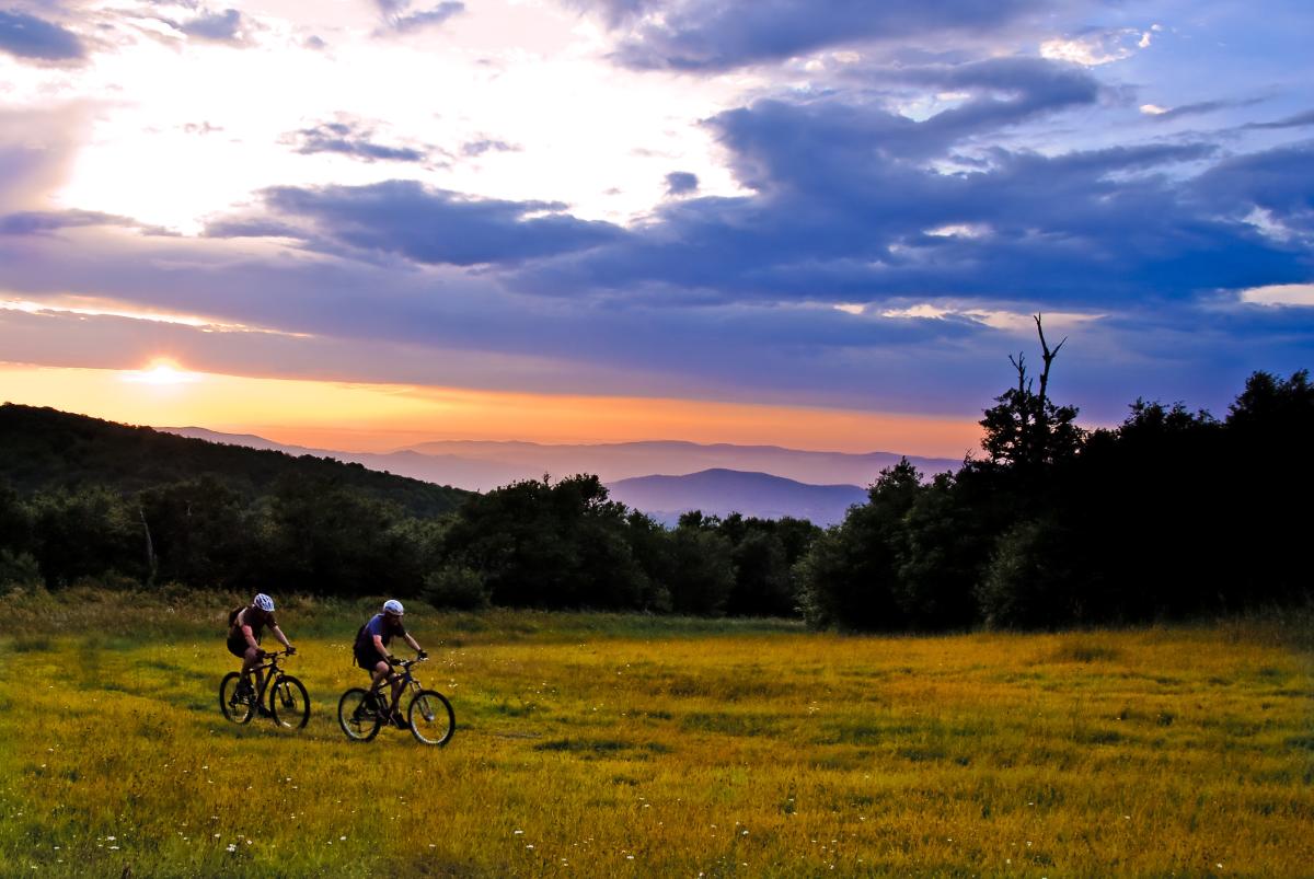 Outback mountain 2025 bike