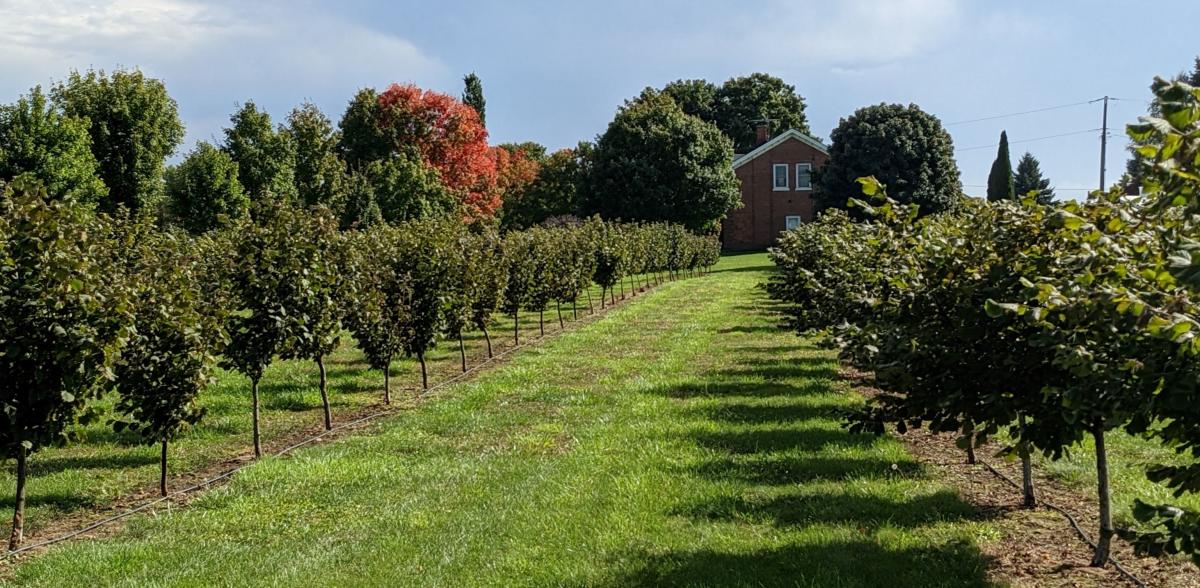Dalton White Farms Market