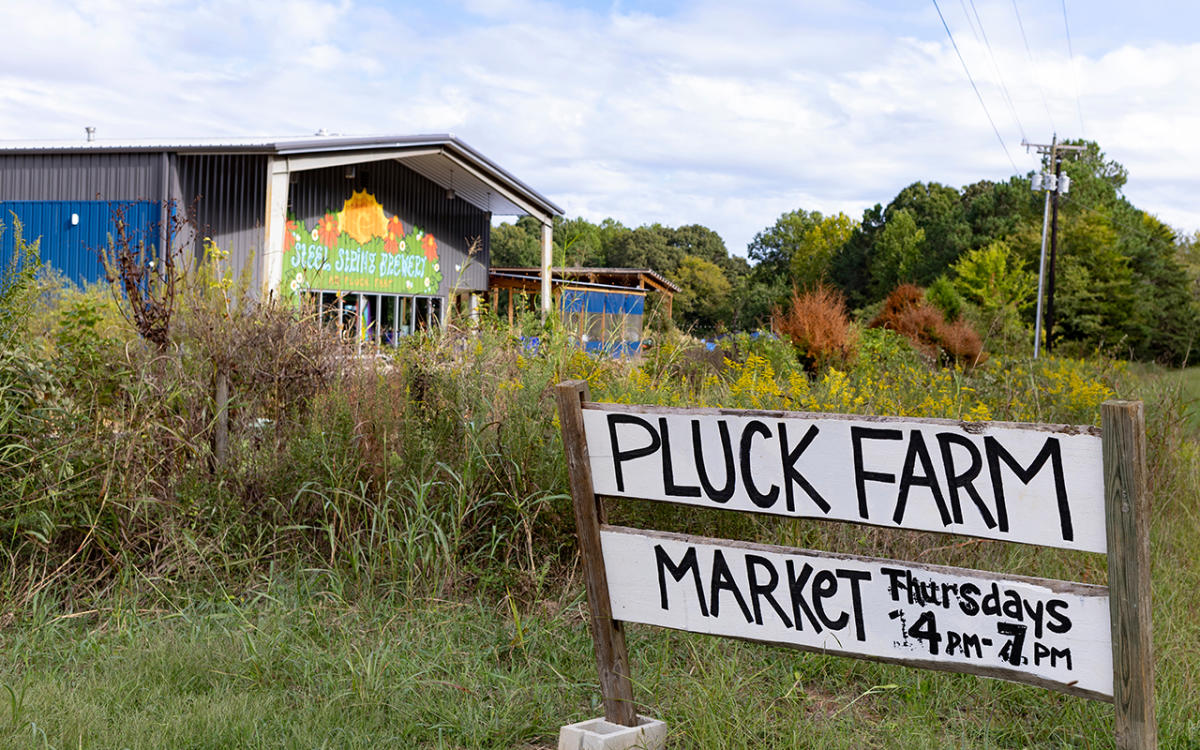 Steel String Brewery at Pluck Farm