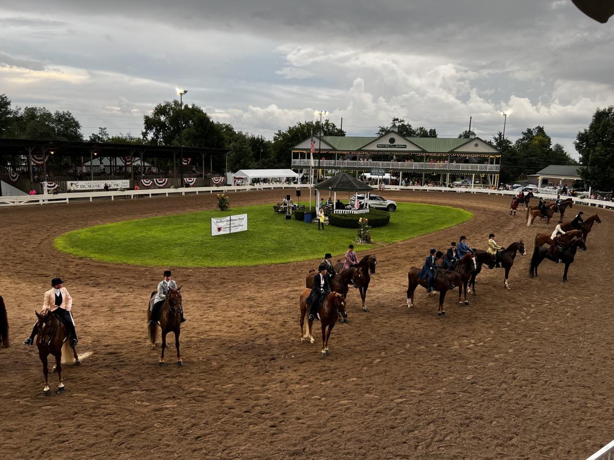 2024 Shelbyville Horse Show