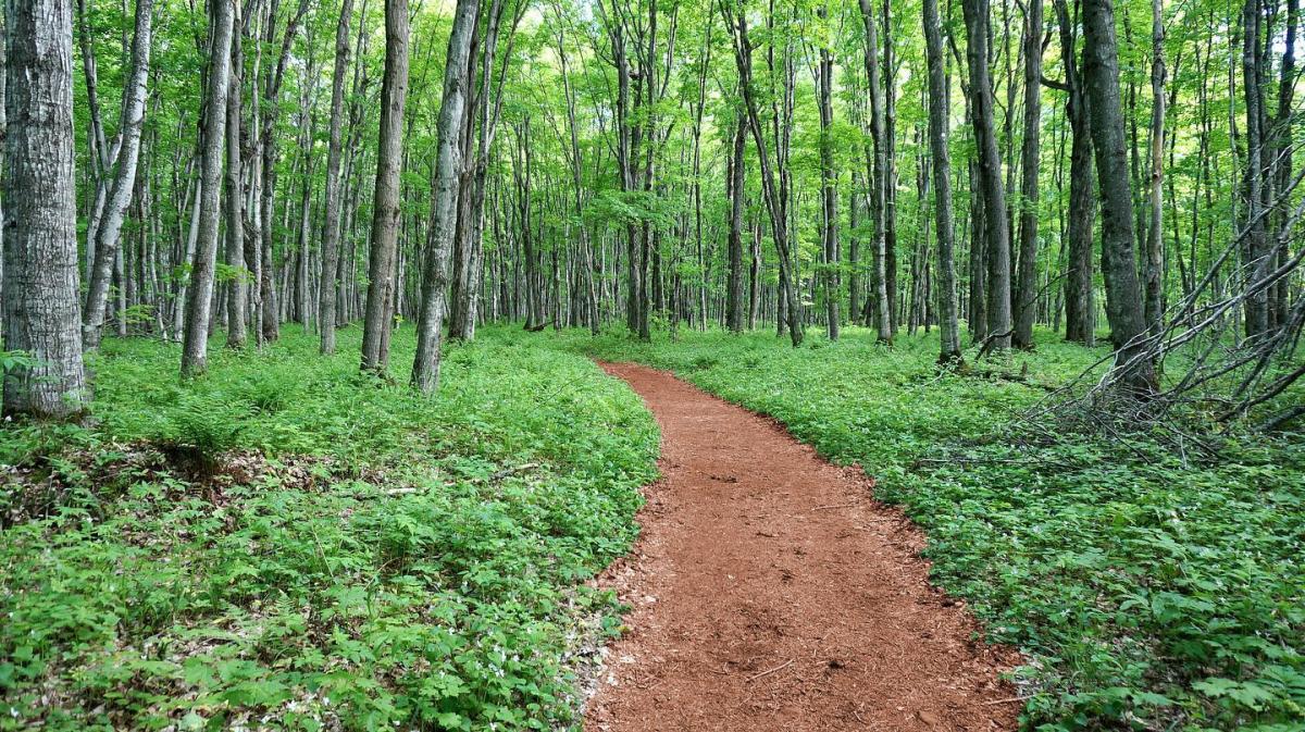 Indian Lake Pathway | Michigan's Upper Peninsula Travel & Recreation ...
