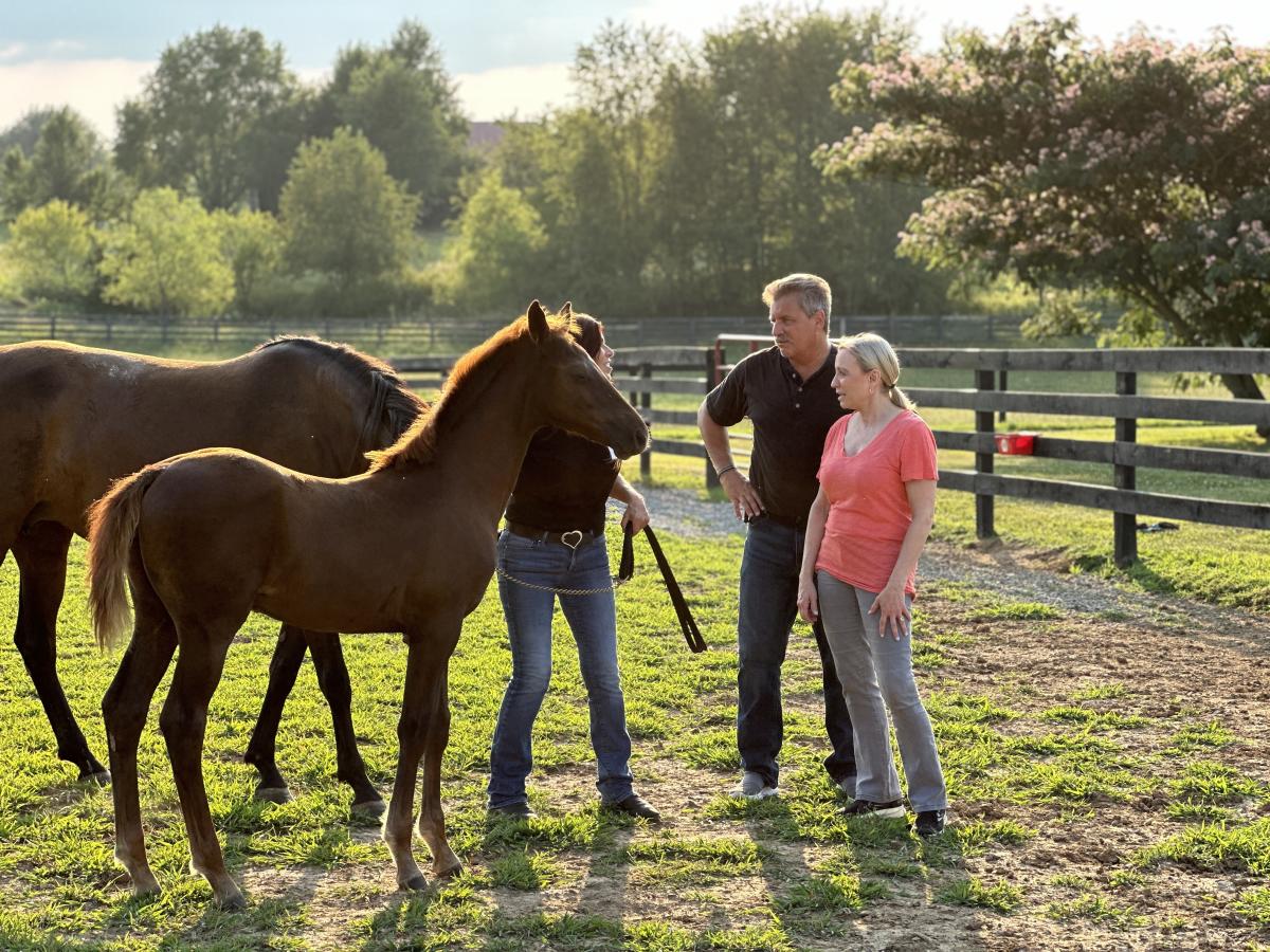 HorseSensing