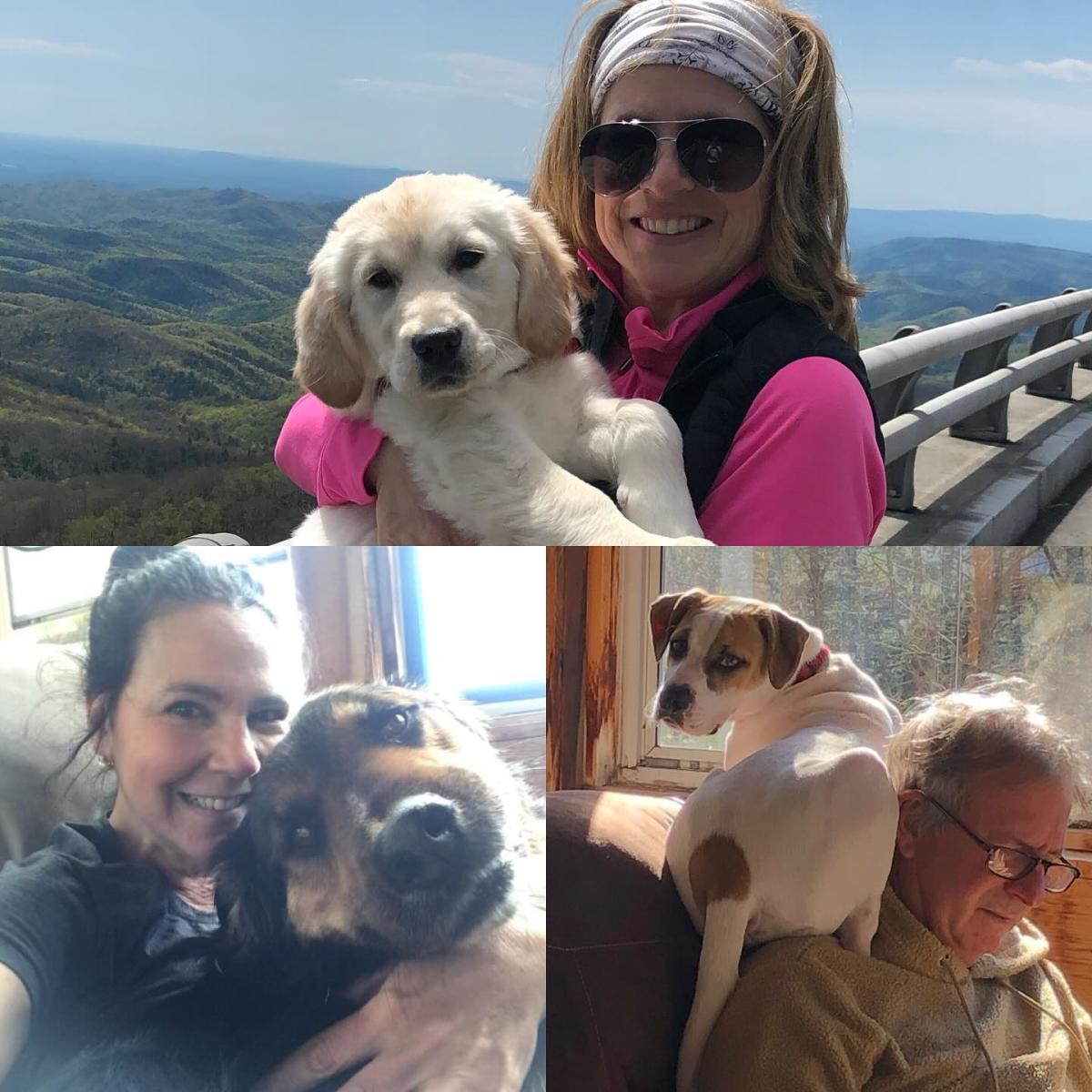 Folk and Dagger Benefit Show for Avery Humane Society