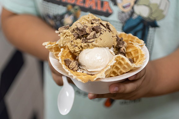 Maple View Farm Ice Cream