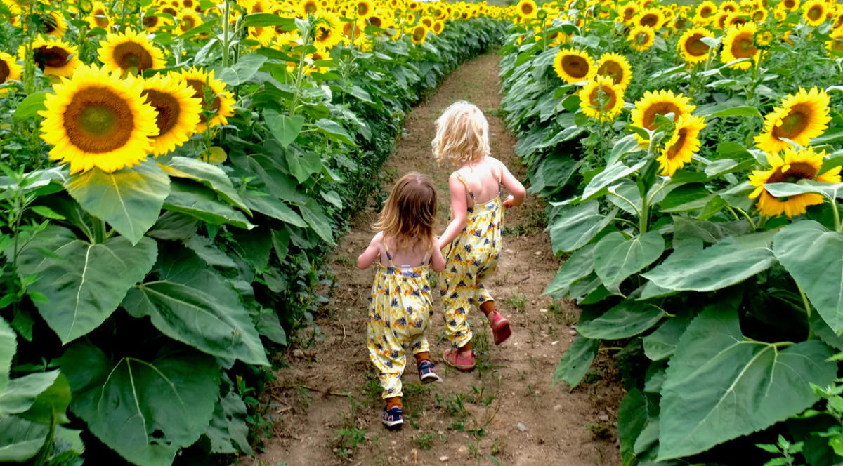 the-crump-family-farm