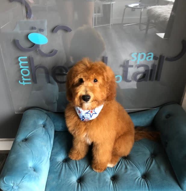 head to tail grooming