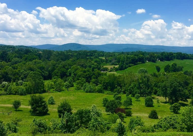 Wine Tour To Blue Valley Alexandria Va 22304