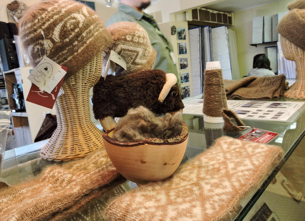 Oomingmak Musk Ox Producers Coop