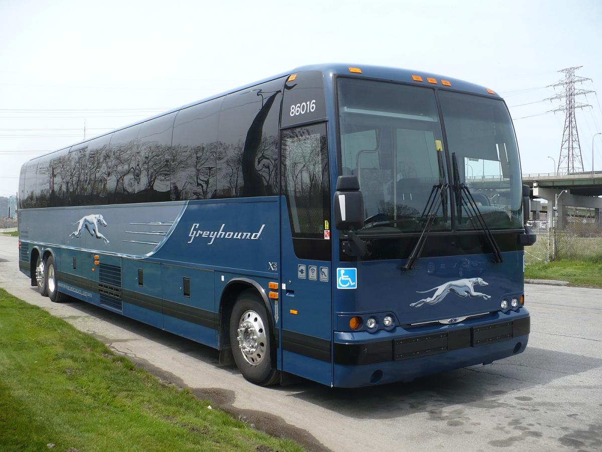 Greyhound