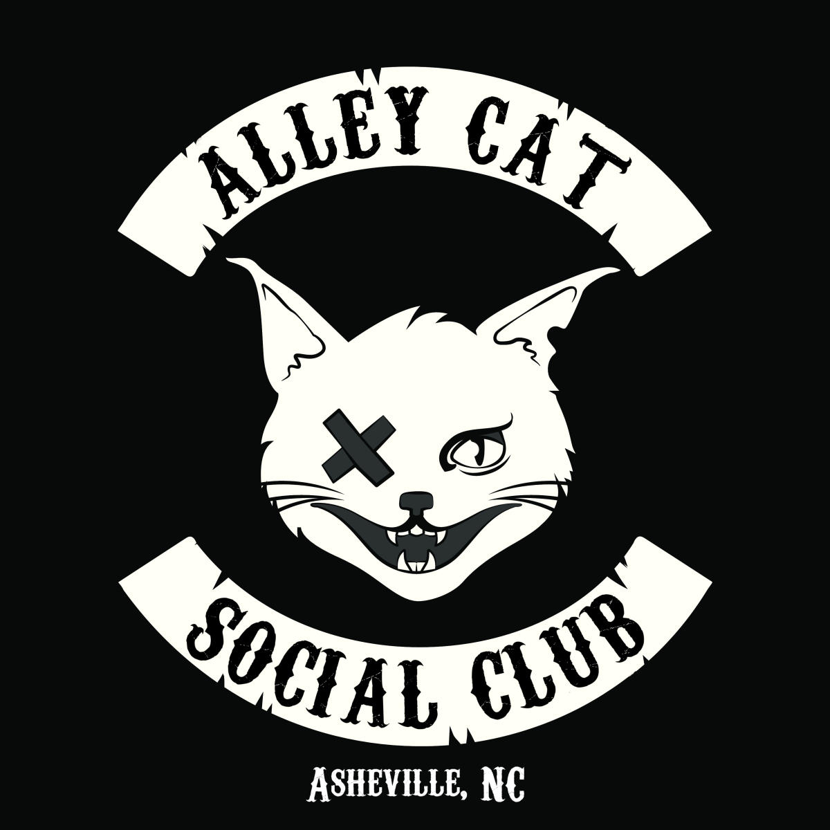Alley Cat Asheville Nc S Official Travel Site