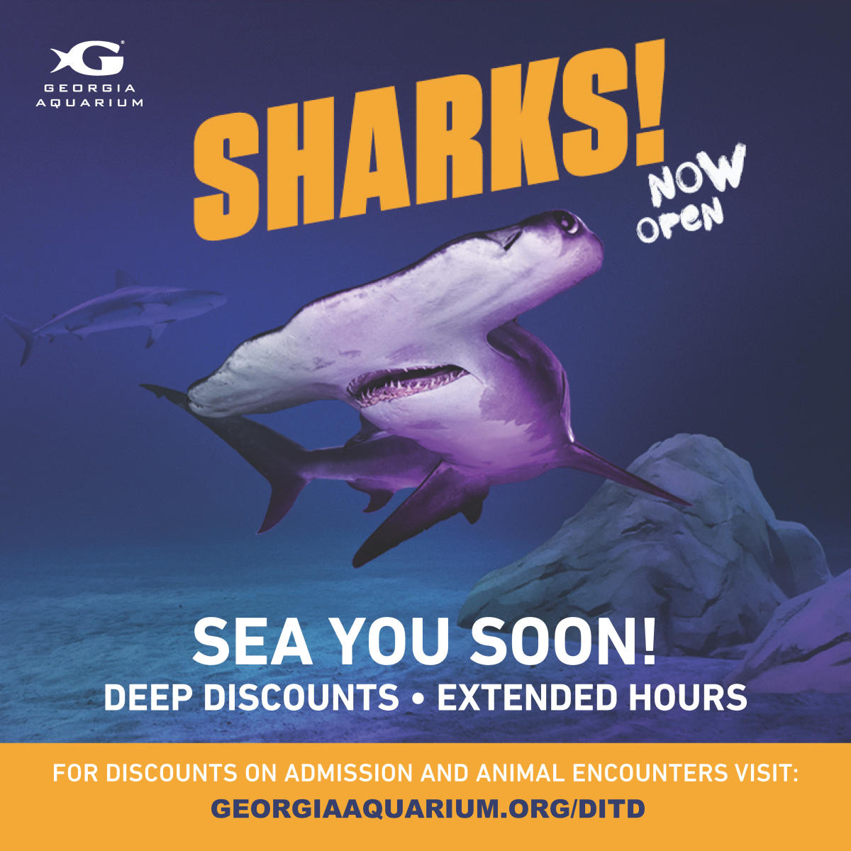 Aquarium Discount Tickets & Encounters