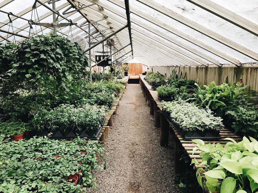Bedford Greenhouses